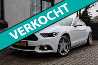 Ford MUSTANG Fastback 2.3 EcoBoost