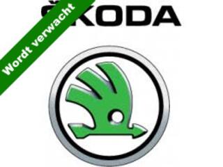Skoda Kodiaq 1.5 TSI Busn. Edition Nap / Comf. pakket / Functie pakket / Led verlichting